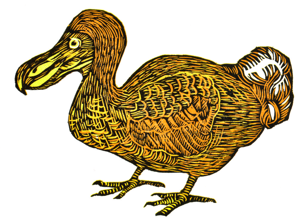 dodo