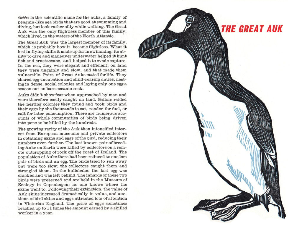 the great auk_spread